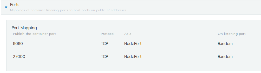 Workload ports