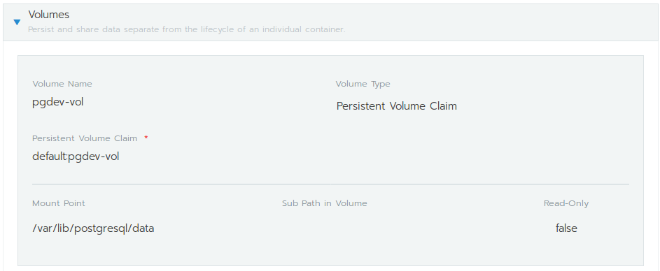 Workload postgres volume