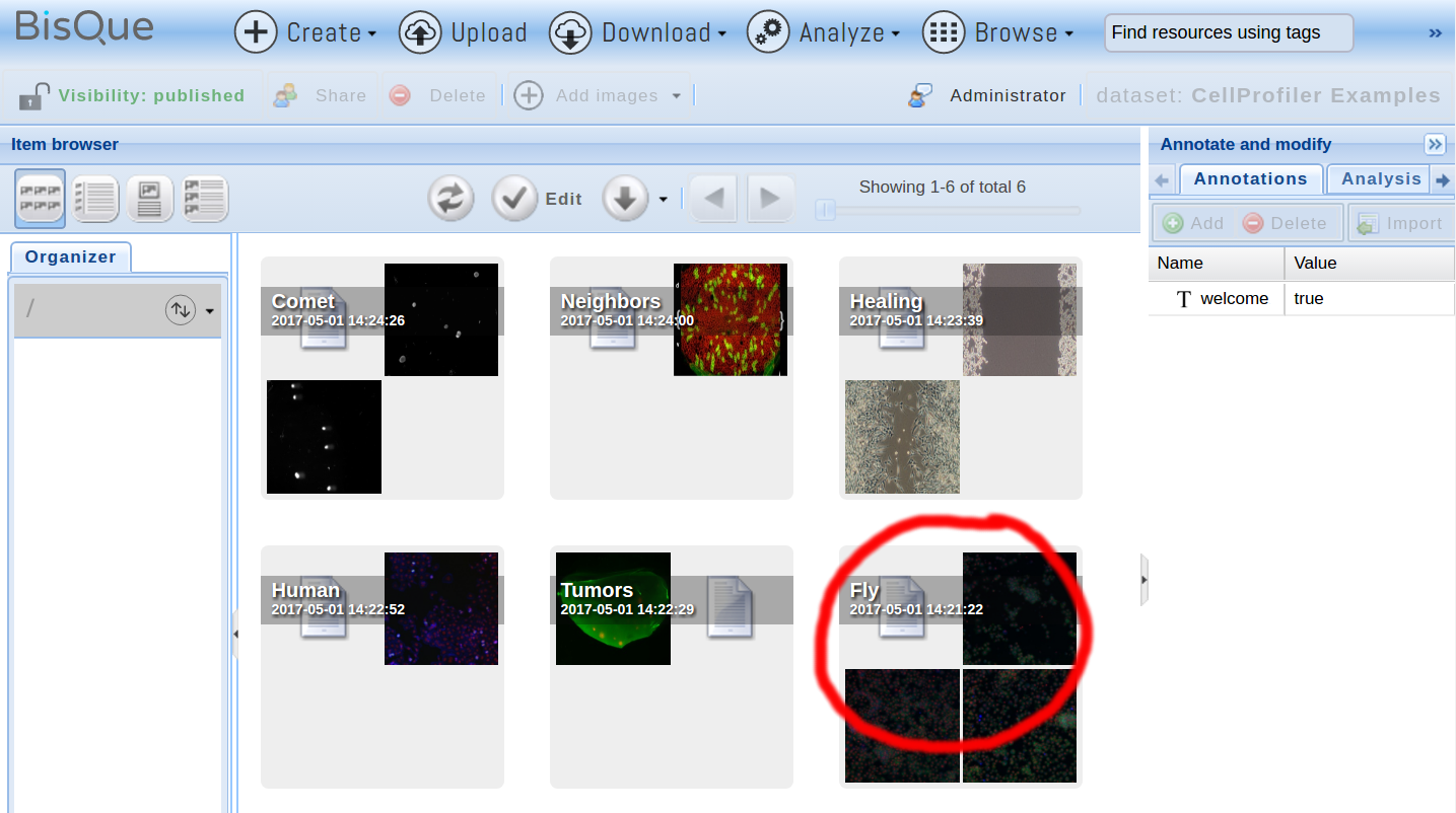 cellprofiler imagej